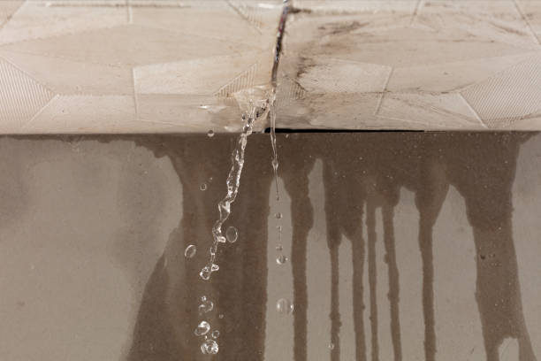 Professional Burst Pipe Cleanup technician working in Forest Knolls, CA